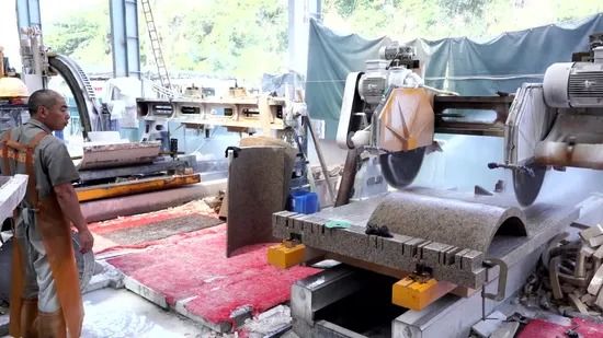 Hoge Nauwkeurigheid Automatische Twee-Schijfs Steenrand Snijmachine voor Kolomplaat Afwerking